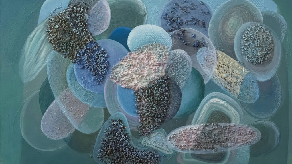 Interpretación clínica del test de microbiota